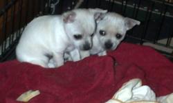 one boy one girl make me an offer...they new new homes asap!