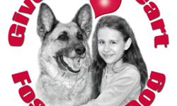 Manitoba German Shepherd Rescue is a registered non-profit organization dedicated to helping as many German Shepherds and German Shepherd crosses as we can find loving forever families.
We can only do this with the help of foster homes!
Please consider